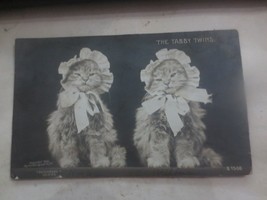 RPPC Vintage Real Photo Postcard Cats Kittens The Tabby Twins copyright 1906 - £21.77 GBP