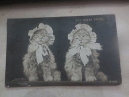 RPPC Vintage Real Photo Postcard Cats Kittens The Tabby Twins copyright 1906 - £20.95 GBP