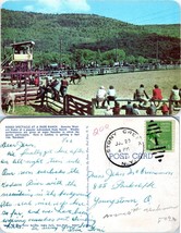 New York Stony Creek Adirondack Dude Ranch Posted to OH in 19?? VTG Postcard - £7.51 GBP