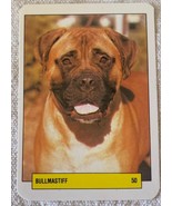 ⭕⭕VTG pocket calendar 1993 DOGS MANIL BULLMASTIFF N50 - $4.46