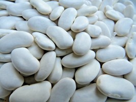 Alaric (Tabais)  large, succulent white bean ideal for soups and stew - $5.75