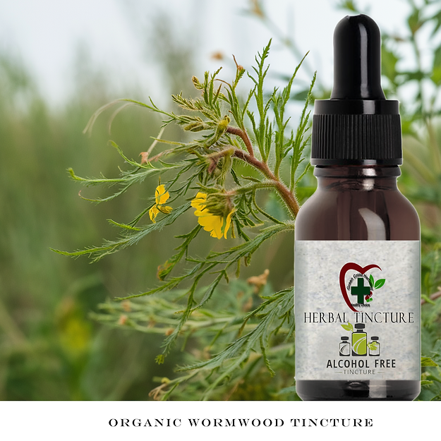 ORGANIC Wormwood Tincture ALCOHOL FREE Pure Herb Extract Herbal - NO FIL... - £17.15 GBP+