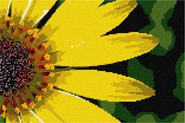 Pepita Needlepoint Canvas: Outstretched Petals, 12&quot; x 8&quot; - £68.91 GBP+