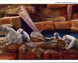 Polar Bears Brookfield Zoo Chicago Illinois IL 1937 WB Postcard B4 - $4.03