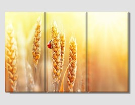 Wheat Canvas Print Golden Wheat Photo Farm Decor Abstract Canvas Art Wheat Art G - £38.75 GBP