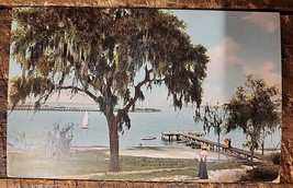 Jacksonville,Fla - View From Phoenix Park - Postcard C. 1907-1915 - £2.38 GBP