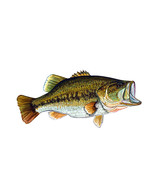 Large Mouth Bass Fish High Quality Decal Truck Boat Cooler Cup Kayak Tac... - £5.50 GBP+