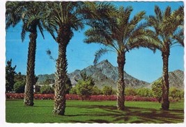 Arizona Postcard Phoenix Squaw Peak Flower Gardens Biltmore Hotel - $2.17