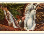 Soco Falls Great Fumè Montagne North Carolina Nc Unp Lino Cartolina Y10 - $3.03