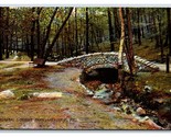 Stone Bridge Mineral Springs Park Reading PA UNP Rotograph DB Postcard T2 - $4.90