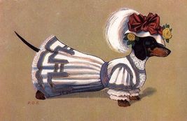 # 30 DACHSHUND portrait *  dog art print * Pen and ink drawing * Jan Jel... - $12.38