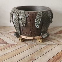 Rustic Planter African Box by Albert Price Succulents Plants from Zoo Gift Shop - £17.92 GBP
