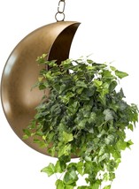 Gold Moon Planter For Cactuses, Air Plants, And Succulents In A Half-Moon Shape - £24.32 GBP