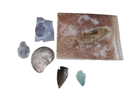 Item image 1