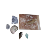 Six Fossils - $2,787.49 MXN