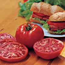 VP 50 Seeds Burpee&#39;S Burger Tomato Juicy Tomatoe Vegetable Garden Edible Food - £3.49 GBP