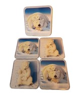 Polar Bear Tin and Cork Coasters in Collector&#39;s Tin Mike Speiser Giftco - £6.95 GBP