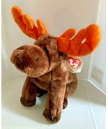 1999 Ty Beanie Buddy &quot;Chocolate&quot; Retired Moose BB4 - £23.59 GBP