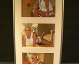 ANNA NICOLE SMITH PROFESSIONALLY FRAMED PICTURES 3 in 10&quot; X 20&quot; SILVER F... - $89.99