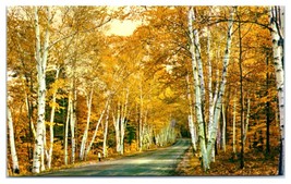 Shelburne Memorial Highway White Mountains Vermont Unused Postcard - $4.94