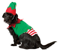 Elf Dog Pet Pet Costume - X-Small - £63.79 GBP