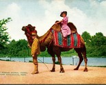 Lot of 3 Vtg New York Zoological Park Postcards - Hippo Golden Pheasant ... - $7.53