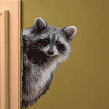 Raccoon Peering Around Wall Decal - 11&quot; tall x 7&quot; wide - £6.21 GBP