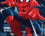 Ultimate Spider-Man Complete Season 2 DVD | 4 Disc Set - $36.31