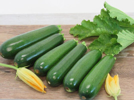 20 Dark Green Zucchini Summer Squash Seeds Nongmo Harvest Fresh Garden - £4.61 GBP