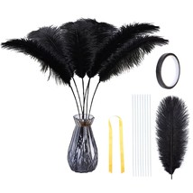 20Pcs Black Ostrich Feathers Bulk - Making Kit 20-22 Inch Natural Ostric... - £20.50 GBP