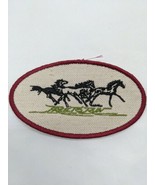 Free To Run Horse Embroidered Iron On Patch 4.25&quot; - $33.01 CAD