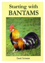 Starting with Bantams (David Scrivener) NEW BOOK BLPJ - £4.65 GBP