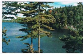 Ontario Postcard Lake With Trees - £2.32 GBP