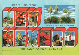 Postcard  Large Letter Greetings From New Mexico Yucca State Flower F20 - £5.64 GBP
