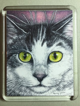 Cat Art Acrylic Large Magnet - Nemo - $8.00