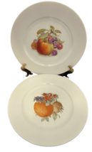 Western Germany Fine Porcelain JKW Plates Orange Apple Grapes Cherries Two - $24.63