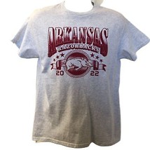 Arkansas Razorbacks Gray 2022 Graphic T-shirt Tee Men&#39;s Unisex Medium  - £11.78 GBP