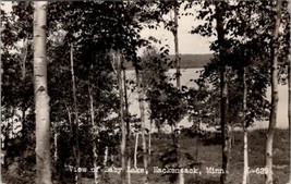 Hackensack Minnesota View of Baby Lake RPPC Postcard Y8 - £11.74 GBP