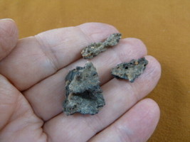 (R310-17) 3 Fulgurites lightning strike beach sand glass Sahara Desert A... - $13.09