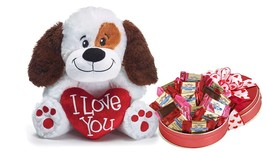 Valentine Sweets w/ I Love You Plush Puppy Gift Set  - £41.65 GBP