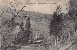 Catskill Mountain Ny~Entrance To Austins GLEN~1909 T H Sachs Photo Postcard - £7.92 GBP