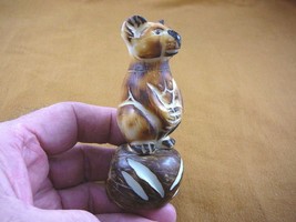 (TNE-BEA-KO-436A) little KOALA BEAR TAGUA NUT Figurine Carving Vegetable... - £23.65 GBP