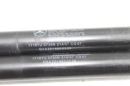 07-13 MERCEDES-BENZ W221 S600 HOOD LIFT SUPPORT SHOCKS STRUTS PAIR E4503 image 11