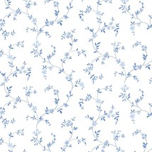 Norwall Ck36603 Seed Trail Blues &amp; White Pre-Pasted Wallpaper,, Navy &amp; White - £35.38 GBP