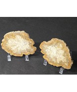 Pair of Petrified Wood Stone Decorative Crystal Slices- White Matching Pair - $55.68 CAD