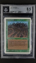 1993 MtG Magic the Gathering Unlimited Wall of Wood BGS 8.5 ( 8.5 / 9 / 9 / 8 ) - £66.69 GBP