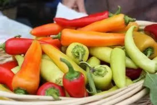 25 Hot Hungarian Wax Pepper Seeds 2024 Heirloom Seed Usa Fresh Garden - £5.09 GBP