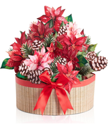 3D Christmas Pop up Cards,10 Inch Elegant Poinsettia Christmas Cards,Hol... - $18.79