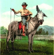 Alhambra Arizona AZ Comic A Rough Rider 1903 UDB Detroit Photographic Co... - $9.76