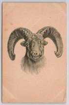 Big Horn Sheep Sketch Style Backus Family Butler NJ Postcard G48 - $4.95